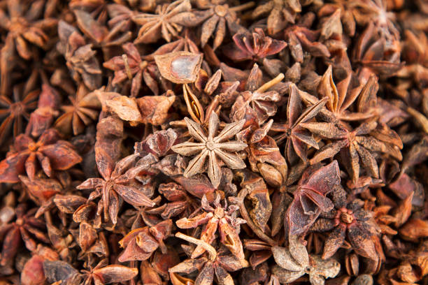 Star Anise